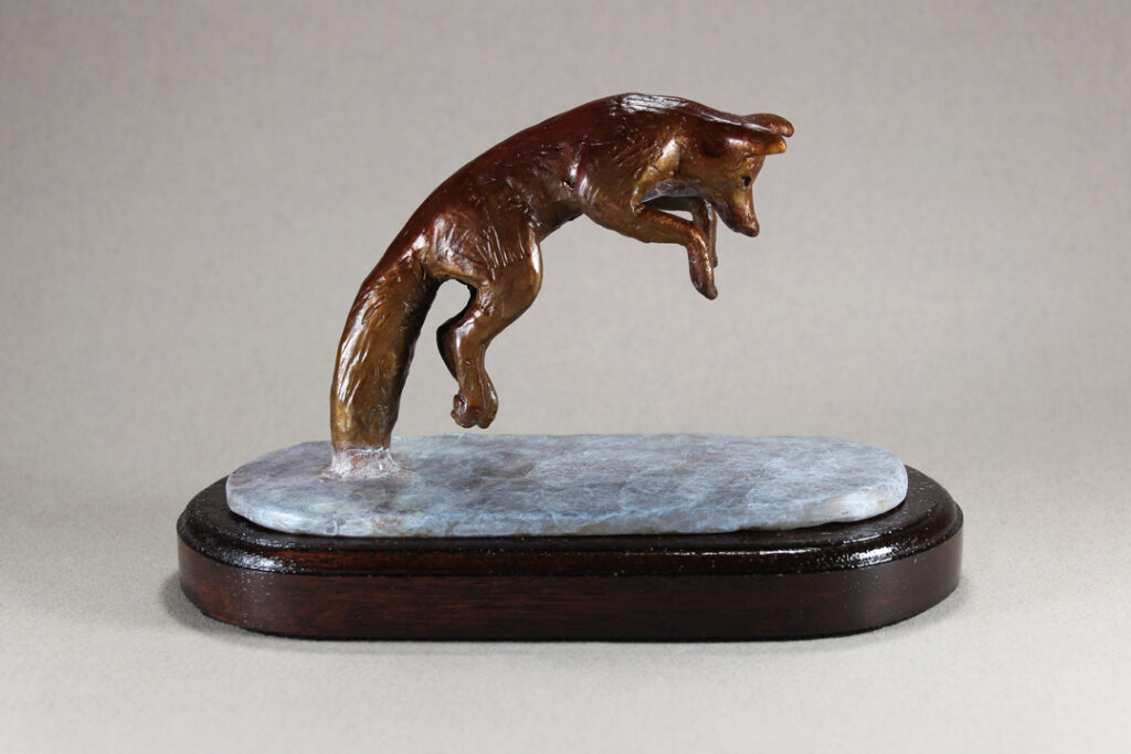 A Bronze Fox jumping for rodent under the snow