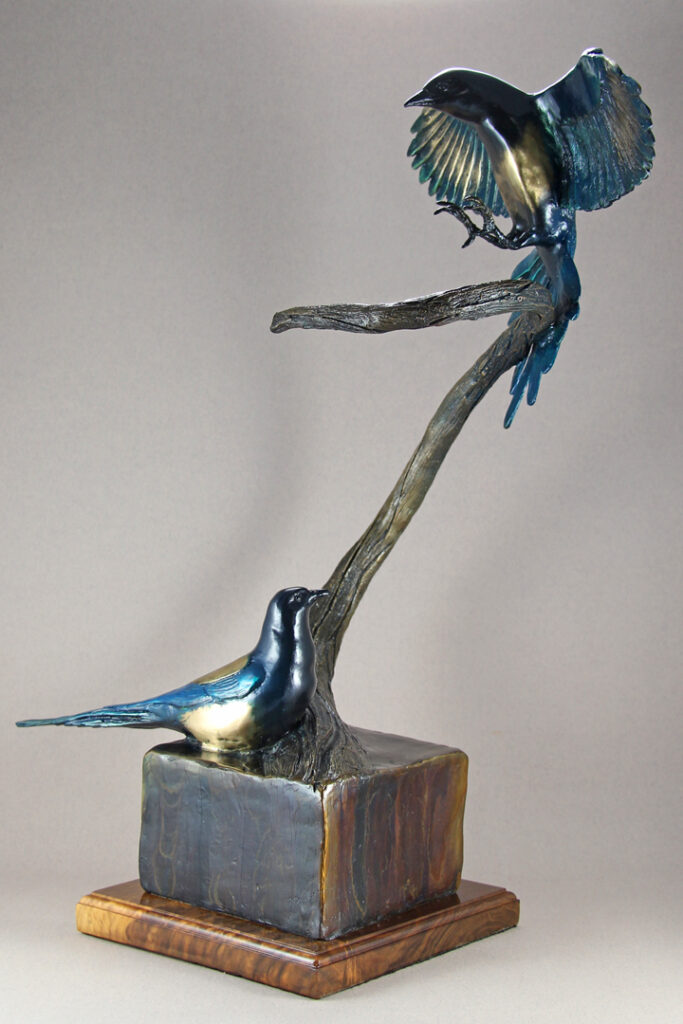 Bronze Magpie Pair, with one landing on a branch while the other is sitting below watching.