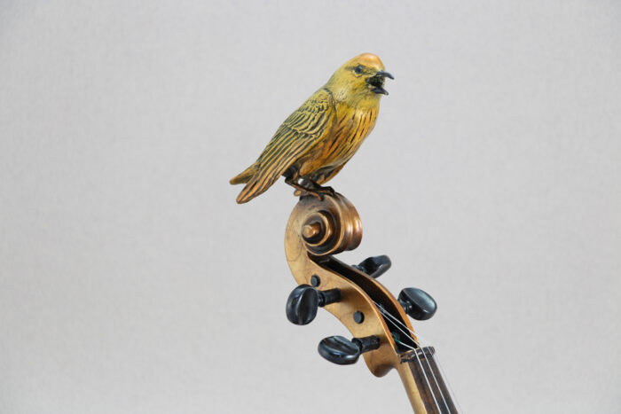 a close up of the Yellow Warbler sitting on a violin neck