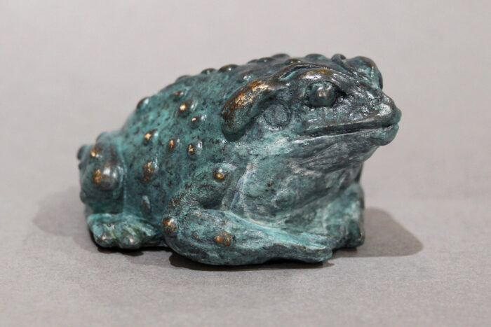 Small bronze Colorado River Toad