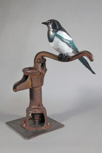 Bronze Black Billed Magpie sitting on the handle of an antique hand water pump.