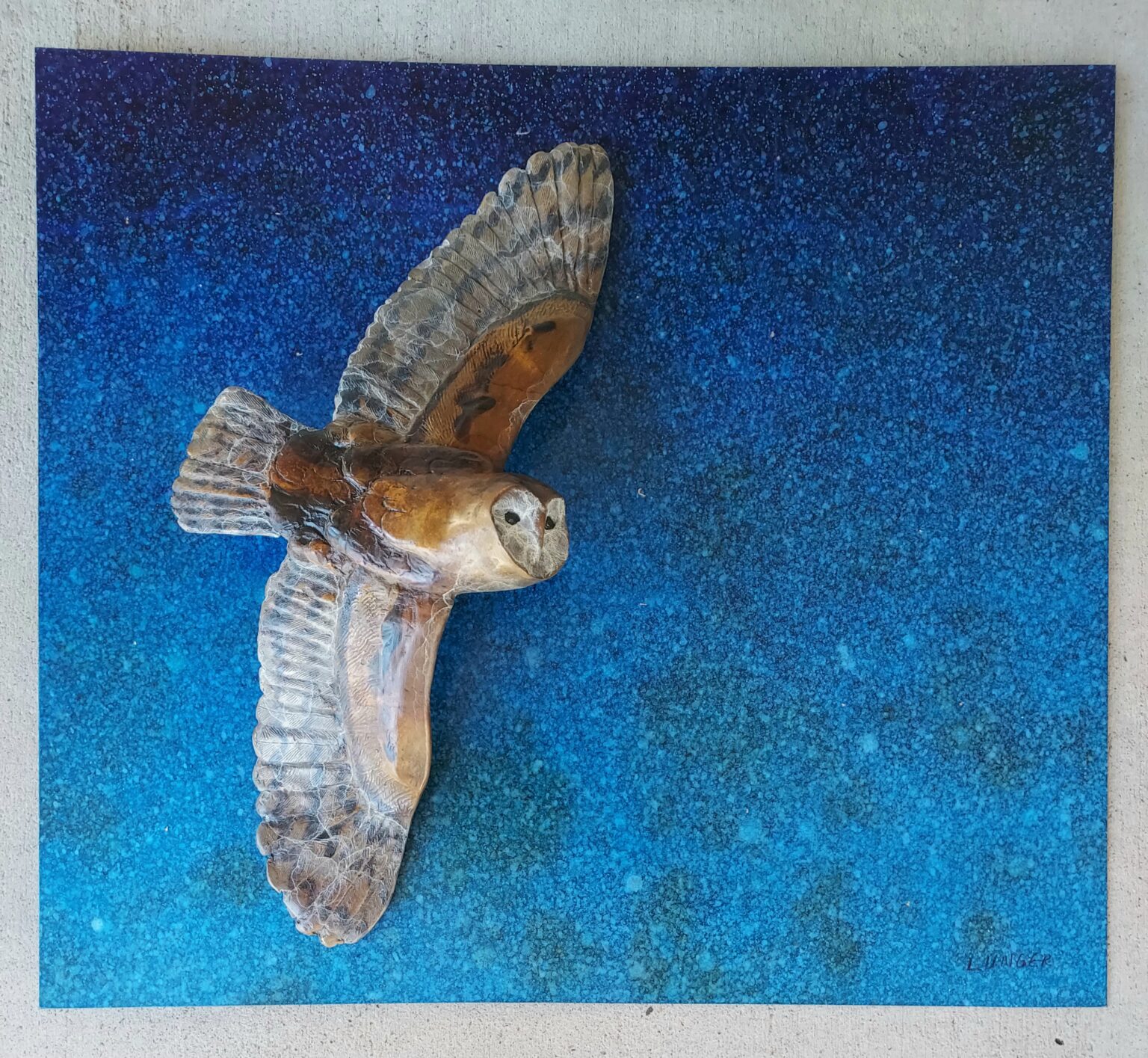 Barn Owl flying against the night sky