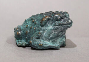 Small bronze Colorado River Toad